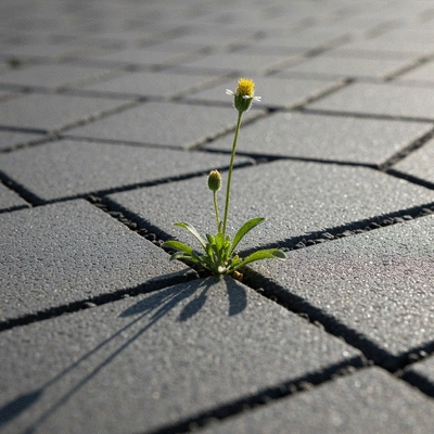 Close-up of a durable resin driveway surface with a small plant growing through, illustrating longevity and natural integration, no text, no words, no typography, 8K